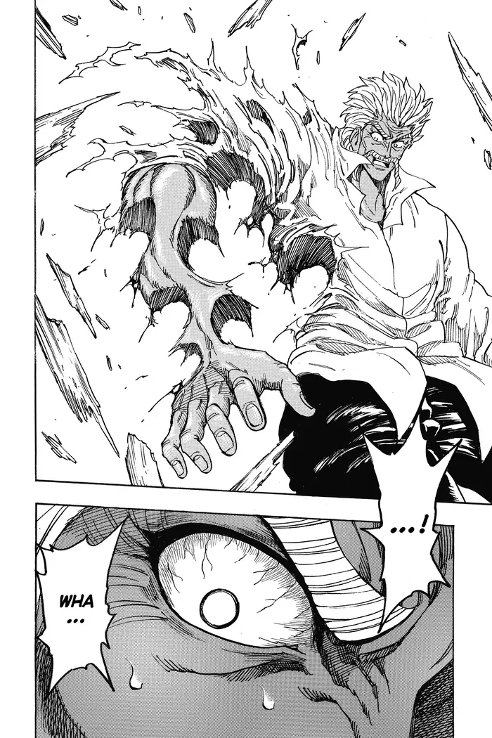 Toriko Chapter 249 image 16_optimized